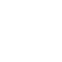the word blossom salon on a black background